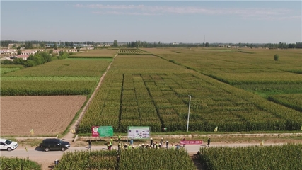 &ldquo;內蒙古巴彥淖爾市科河種業&rdquo;入圍《信用中國》欄目