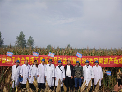 豐樂種業:釋放創新活力 跑出科研&ldquo;加速度&rdquo;
