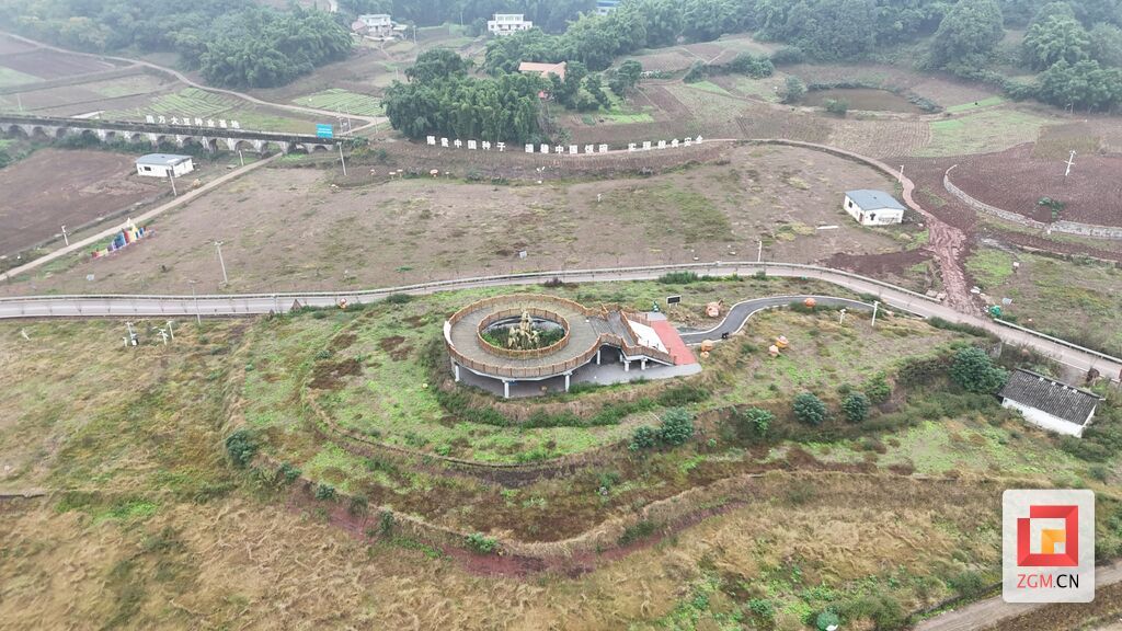 永安鎮大豆種業基地豐收喜人，2000畝油菜輪種續寫豐收篇章