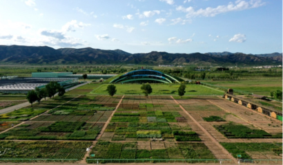 蒙草生態(tài)上市十周年 以種業(yè)為本，科研當(dāng)先，深耕生態(tài)修復(fù)的“中國草”